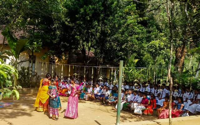 තෛපොංගල් උත්සවය 2019